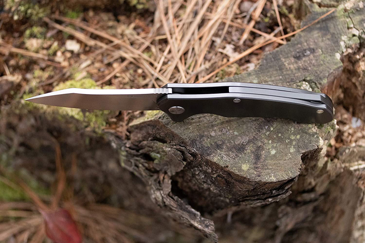 Bastion Braza frame like folding knife